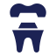 Dental Crown